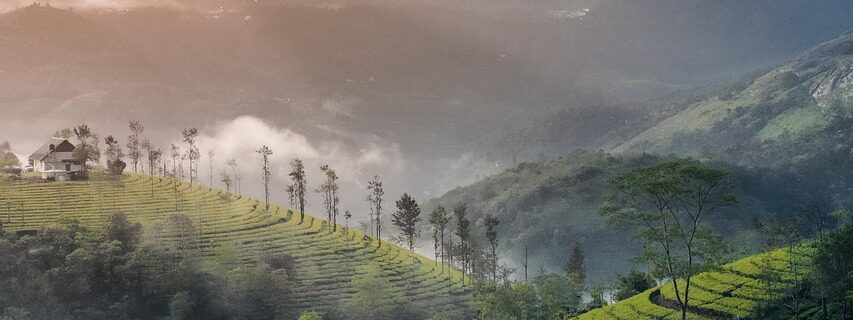 mountain hills in munnar