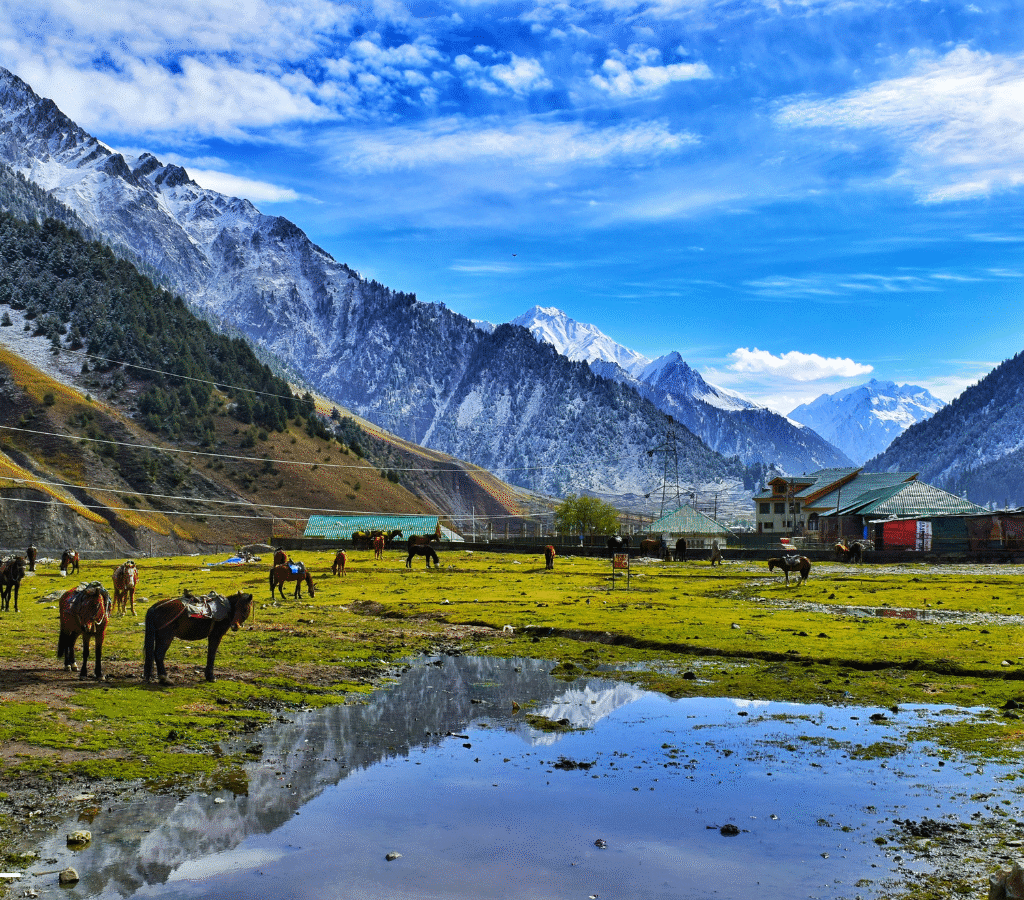 Best time to visit Kashmir