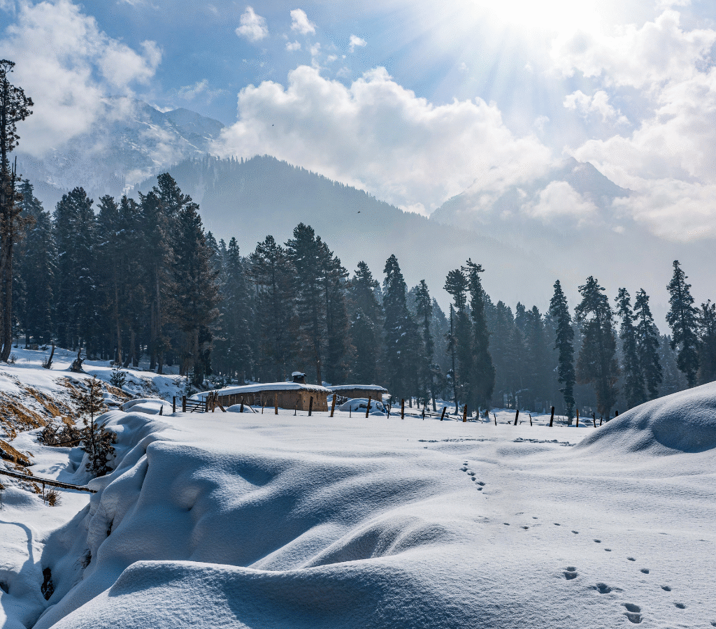 Top 5 tourist places in Kashmir