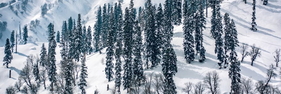 Best Time to visit kashmir