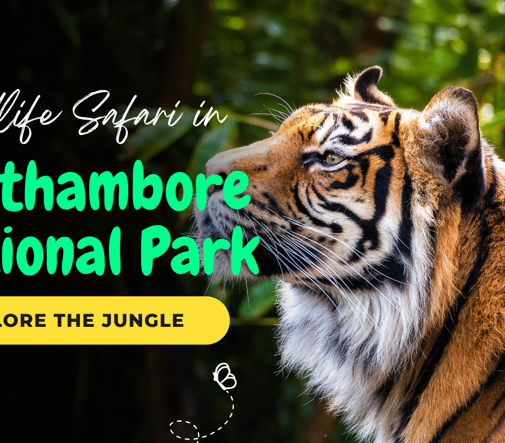 Ranthambore – Wildlife Adventure