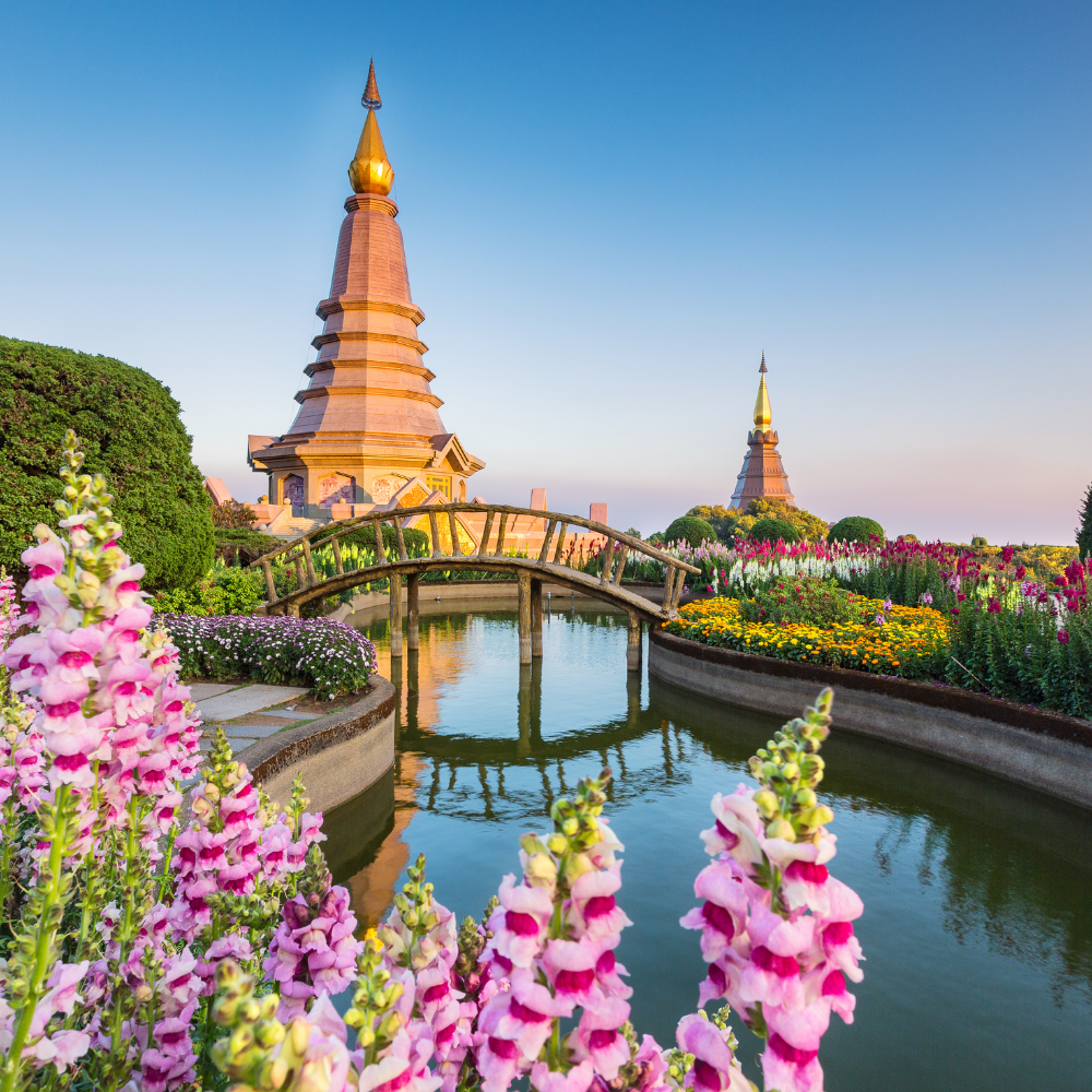 Chiang mai