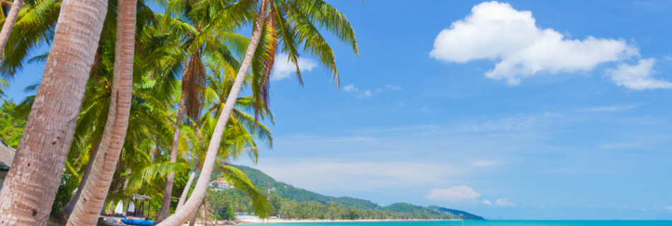 koh samui