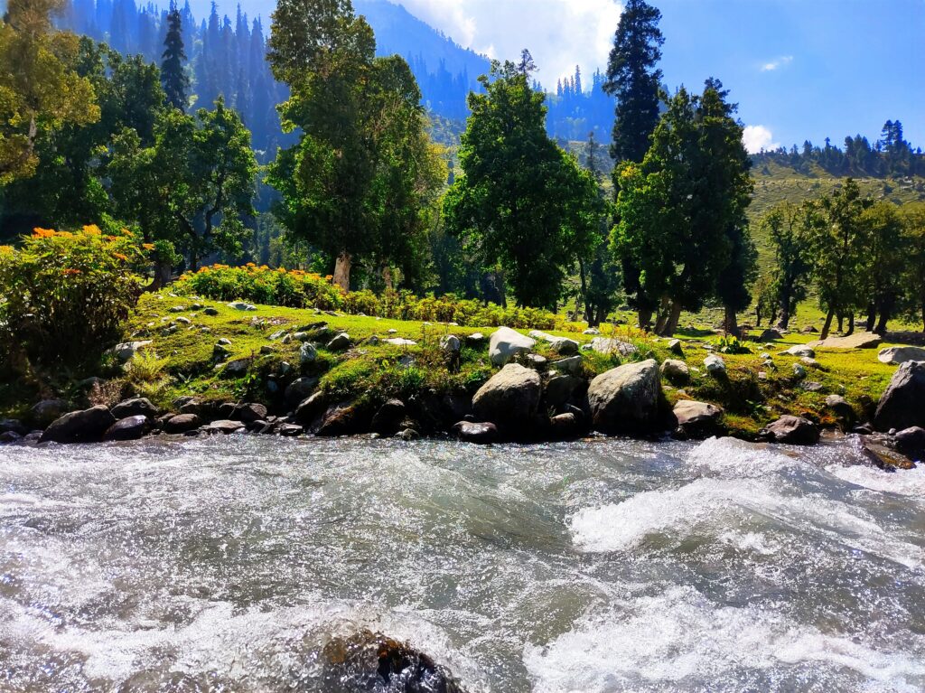 sonamarg view